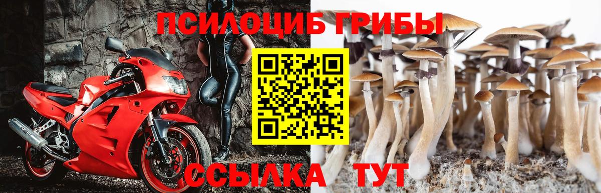 Псилоцибиновые грибы Magic Shrooms Павловский Посад